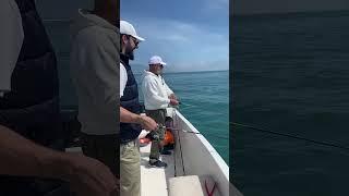 Рыбалка в Сочи.Ставрида в Сириусе. #fishing #fish #рыбалка #морскаярыбалка #море #сочи  #черноеморе