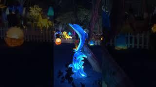GLOW Reel #glowgarden #vlog #girgaonchowpatty
