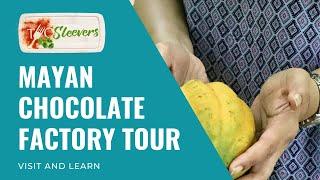 TwoSleevers Mayan Chocolate Factory Tour