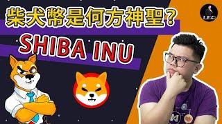 SHIB币是什麼？值得投資嗎 ？｜那個男人說了什麼讓SHIB 柴犬幣又上又下呢 ？｜柴犬币屎币的揭秘及最新资讯 【Leo Tan 里奥】