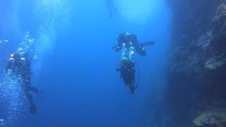 2019년8월 #DIVE HOLIC #다이브홀릭 #보홀다이빙투어 2일차 #필리핀 #보홀 #발리카삭 #돌조비치에서