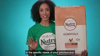 Nutro Natural Choice Small Breed Adult Dry Dog Food | Chicken & Brown Rice Recipe Dog Kibble