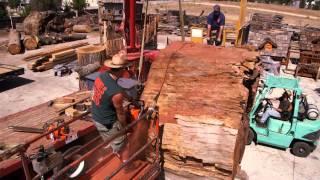 Redwood Kings