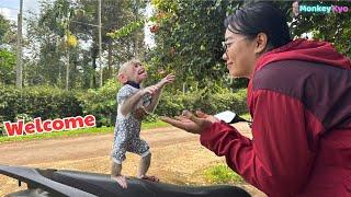 Monkey Kyo’s Heartbreaking Moment – Why Can’t Ms. Ngan Get Into the House?