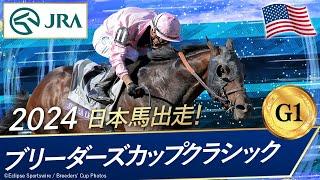 2024年 ブリーダーズカップクラシック（G1） | シエラレオーネ | JRA公式