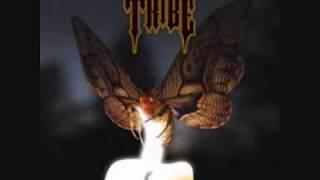 Tribe - Pray for calm... Need the chaos - full album