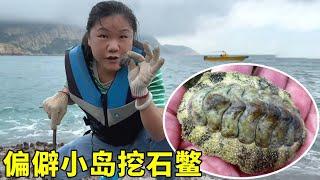 去偏僻小島趕海，遍地3億年前的生物，雖其貌不揚卻是難得的美味【漁小仙】