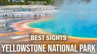 GRIZZLY BEARS, Geysers, Hot Springs, and Wildlife! | Yellowstone National Park Cinematic Video