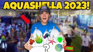 AQUASHELLA Daytona 2023!!! (BUYING NEW CORALS)