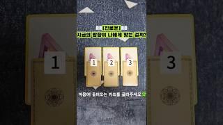 [진로운]지금의 방향이 나에게 맞는 걸까? 카드 리딩은 설명란을 확인해주세요 복채는 좋아요️ + 구독️