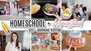 DITL of a Homeschooling + Homesteading  Mom of 3 // Homeschool Morning Routine