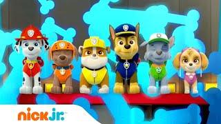 PAW Patrol Dutch | Official Theme Song (Music) | Nick Jr.