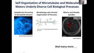 Dan Needleman: Tutorial - Active Matter, Microtubules and Cell Division