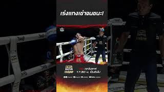 เร่งแทงเข่าจนชนะ! #ch8kingoffightingsports #muaythai #มวยไทย #มวยช่อง8