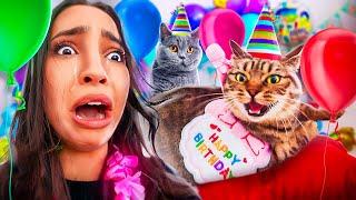 JE FÊTE LES 1 AN DE MON CHAT ! (ça tourne vraiment mal )