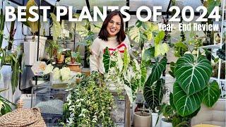 Best Plants of 2024 | My Top Picks & Care Tips