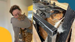 Cat Reunited With Family After Being Accidentally Donated To Thrift Store