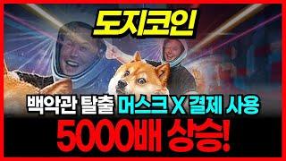 [도지코인 DOGE] 백악관에서 탈출한 일론 머스크 도지코인을 X 결제로 쓴다! 직접 발표! 5000배 상승!