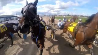 York Harness Raceway - view from the starting gate