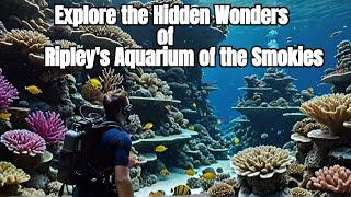 Explore the Hidden Wonders of Ripley's Aquarium of the Smokies