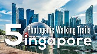 5 Photogenic Walking Trails to Rediscover Singapore in 2021