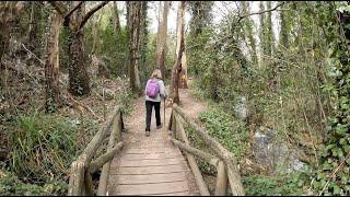 Nuevo sendero circular por el Río Majaceite. Benamahoma - El Bosque.