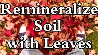 Why I Prefer Leaves over Rock Dust to Remineralize Soil