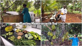 Growing Memories with Dad This Father’s Day/A Walk Through the Garden with Dad #harvest #garden #dad