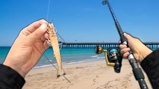 Surf Fishing w/ LIVE SHRIMP for Anything That Bites!!