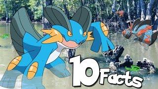 10 Facts You Probably Didn't Know About Swampert! (Pokemon Facts) | The Week Of 10's #4