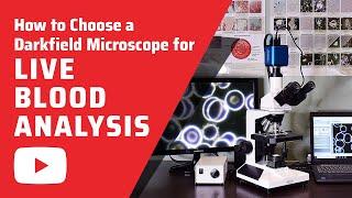 How to Choose a Darkfield Microscope for for Live Blood Analysis (HD)