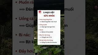 5 MẸO VẶT SỨC KHỎE #meohaychoban #mẹovặttrongcuộcsống #mẹohay #shortvideo