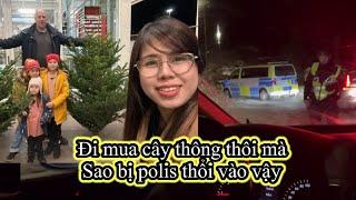 654 | Cả nhà đi mua cây thông Bất Ngờ bị Polis bắt lại kiểm tra | Anh Thư family