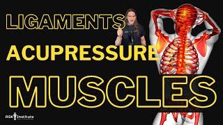 MUSCLE TESTING - PROPRIOCEPTION - Ligaments & Acupuncture