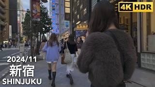 Walk in Tokyo: Shinjuku - 2024/11