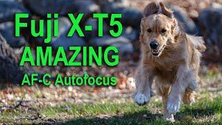 AMAZING Fuji X-T5 AF-C Autofocus