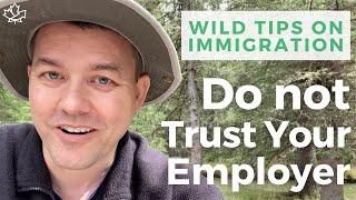 Employment Reference Letter for Canadian Immigration | Don't Trust Your Employer