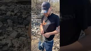 White Bass Run Is On! #trending #funny #asmr #fishing #shortvideo #fish #fyp #shorts #short #fun