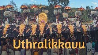 Kerala Festival Tour | Uthralikkavu Pooram | Green Earth Trails