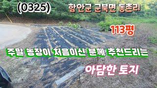 (0325) 군북역 5분 거리의 아담한 주말농장(3000만윈)