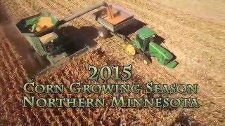 Northern Minnesota Corn Growing 2015 Season Highlights