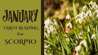 ️Scorpio Tarot Reading for January 2025 – Something is about to be revealed! 