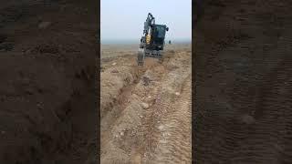 Web3Eco - The process of tractor operation on Paulownia plantations #nft #paulownia #plantation