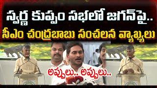 CM Chandrababu Sensational Comments On YS Jagan : Varadhi News