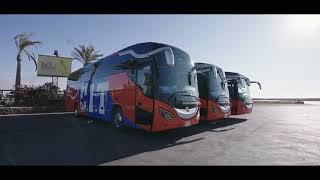 C.I.T Travel Egypt buses fleet