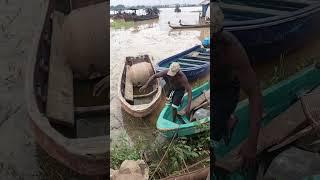 Speed baot palava | Mr Macaroni | izon tv  | ijaw tv | pouma | Niger Delta movies |comedy | Brain