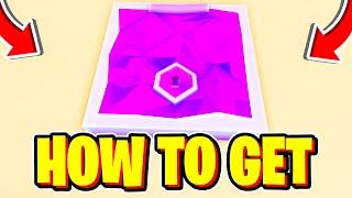 How To OPEN SECRET DOOR + GET SECRET CHEST & KEY In PETS GO! Roblox