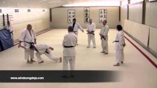 Aikido: Effortless Power with Nick Lowry, Part 1