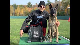 INCREDIBLE BELGIAN MALINOIS IGP PROTECTION ROUTINE || Ivan Balabanov & Ice Ot Vitosha DVG Nationals