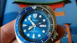 Seiko Turtle save the ocean: What a dial!